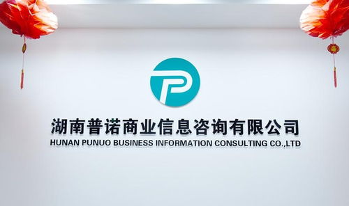 湖南普诺商业信息咨询 赋能企业决策的专业信息咨询服务